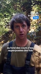 La moule d'eau douce : essentielle mais menacée