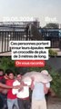 Ces personnes portent sur leurs épaules un crocodile de plus de 3 mètres de long…