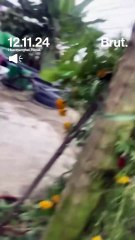 Les images terrifiantes d'un rhinocéros attaquant un motard au Népal.