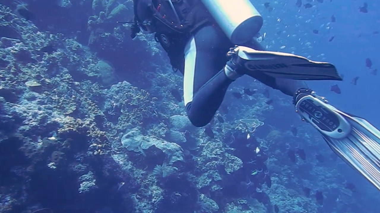 Red Sea yacht sinking: Three bodies found in rescue search with Brits 'among missing'