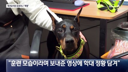 애견 유치원서 ‘강아지 학대’ 의혹