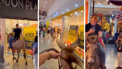 ショッピングモールにロバで入場する男性の面白い動画がブラジルで話題に
