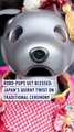 Robo-Pups Get Blessed: Japan's Quirky Twist on Traditional Ceremony