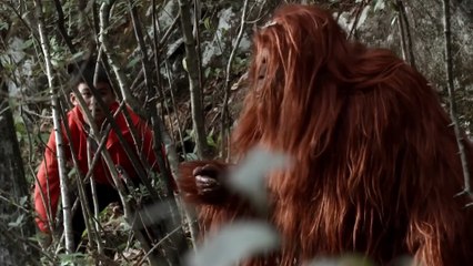 Filme dublado em português - Eles precisam sobreviver na floresta