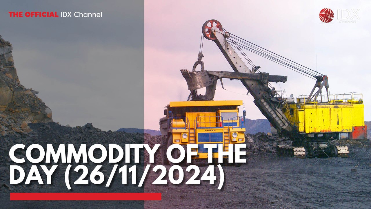 Commodity of the Day (26/11/2024)