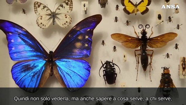 A Palazzo Esposizioni la mostra L'elogio della biodiversita'