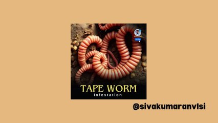 TAPEWORM INFESTATION