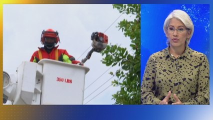 ASEP verifica instalaciones de la red eléctrica y de telecomunicaciones