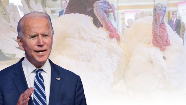 Ông Biden chia sẻ tự hào là Tổng thống Mỹ khi ân xá gà tây Lễ Tạ ơn lần cuối ở Nhà Trắng