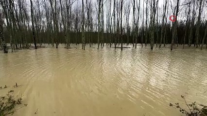 Sarıkum Gölü’ne akan dereler taştı