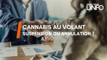Les Experts - Cannabis au volant : suspension ou annulation ?