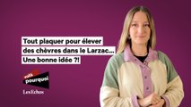 Tout plaquer pour élever des chèvres dans le Larzac, une bonne idée ?