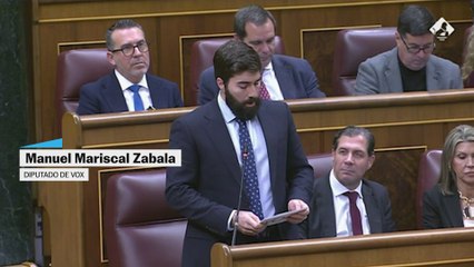 Mariscal: "están utilizando la cadena pública para protegerse de la verdad"