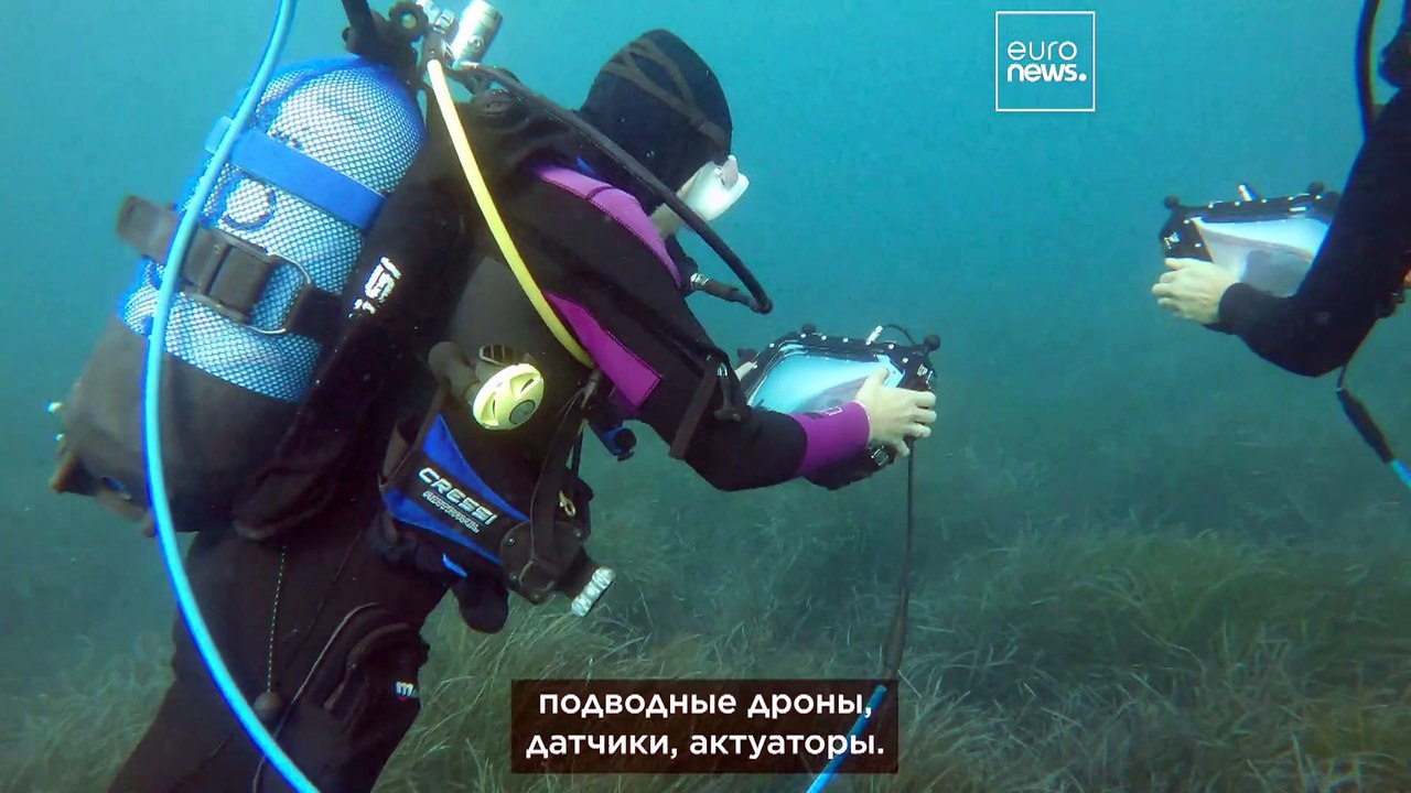 “Подводный интернет": эта женщина может подключить беспроводную сеть на 3-километровой глубине