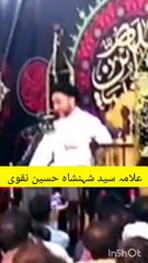 حسینی کسے کہتے ہیں