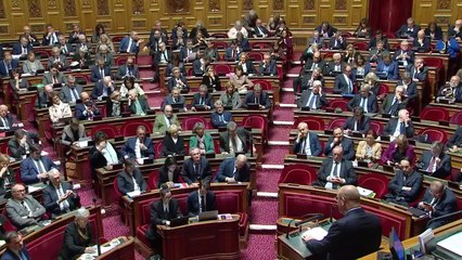 Budget de la Sécurité sociale : "Le Sénat a pris ses responsabilités"