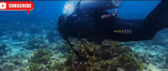 SISID (2024) Trailer VIVAMAX | Paolo Gumabao, Vince Rillon,  Kylie Verzosa, Mayton Eugenio, Christine Bermas