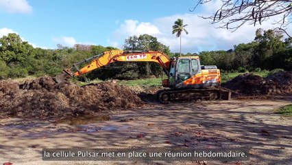 La Guadeloupe utilisatrice du bulletin de prévision sargasses