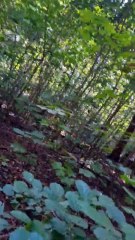 Unlocking Calm_ The 5-Second Breathing Technique