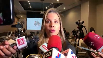 ACOPROVI: "Necesitamos más dominicanos en la construcción"