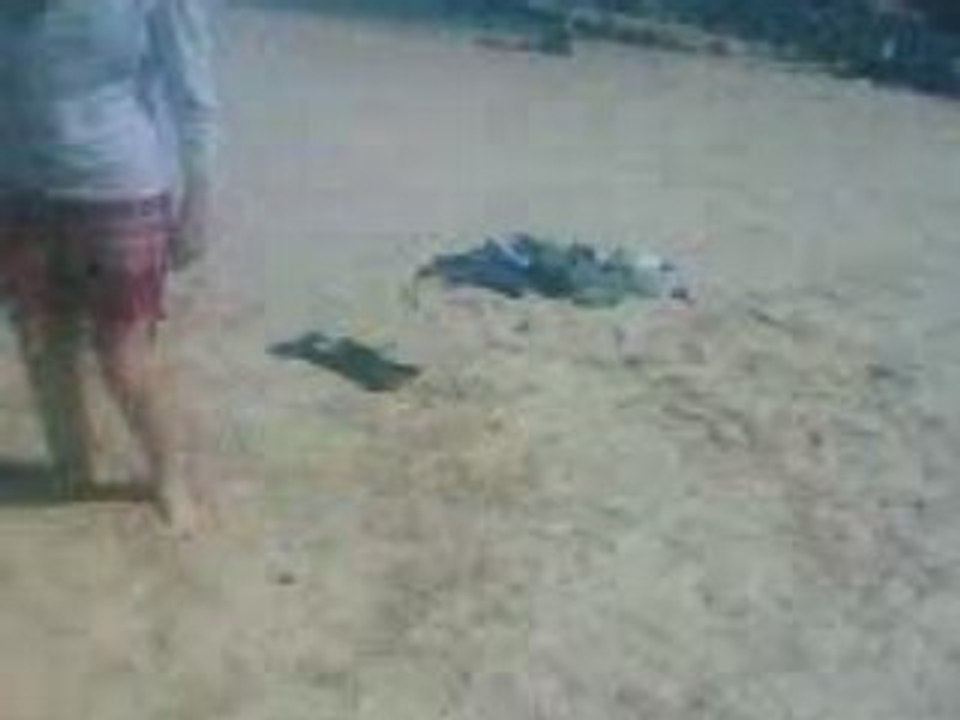 PLAYAAAAAAAAAAA