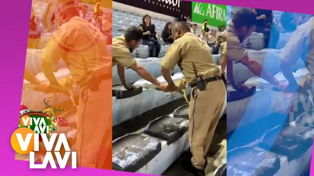 Capturan a invasor en el concierto de Luis Miguel en Tampico