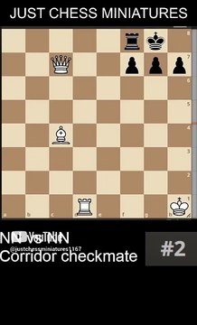 NN vs NN. Corridor checkmate 4