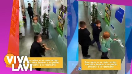 Niños conmueven las redes sociales al salvar a su perrito