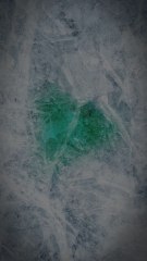 Quelque chose se prépare… ❄️