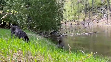 Solo Female car camping