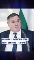 Hungary economy minister: Peace benefits everyone