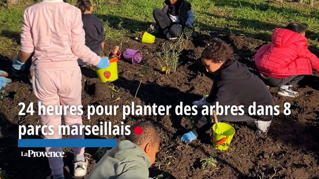 24 heures pour planter des arbres dans 8 parc marseillais