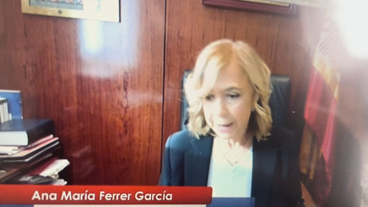 Comparecencia de Ana Ferrer