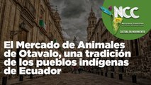 El Mercado de Animales de Otavalo, una tradición de los pueblos indígenas de Ecuador