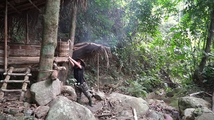 EP.222 - Surpreenda com abrigo na floresta profunda, comida selvagem, pegue e cozinhe