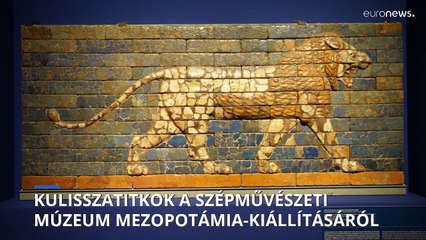 A Szépművészeti Múzeum kulisszatitkai egy kiállításrendező szemszögéből