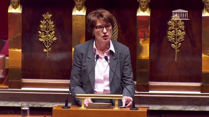 Francia reafirma su oposición "firme" al actual acuerdo entre la UE y el Mercosur
