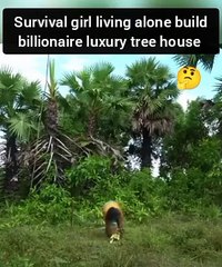 Survival girl living alone build billionaire luxury tree house