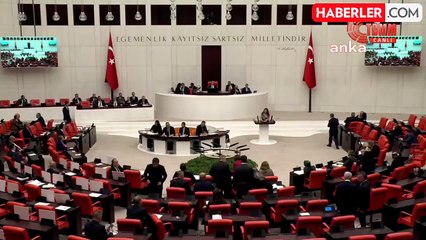 CHP Genel Başkan Yardımcısı Gökçe Gökçen: 'Kanun Koyucuyu Devreden Çıkarıyorsunuz'