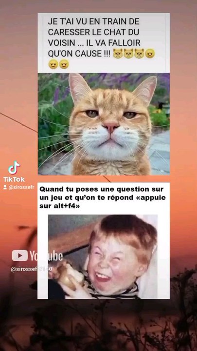 🤣