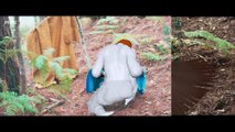 映画『動物界』VFXメイキング映像