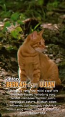 between blessings and tests