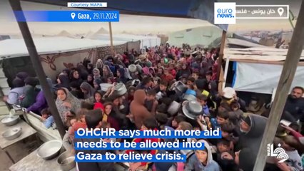 OHCHR calls for immediate ceasefire in Gaza after fighting ends in Lebanon