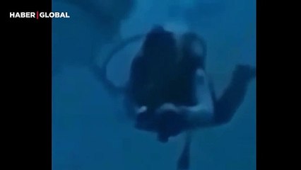 Maldivler'de tüyler ürperten görüntü! Köpek balığı kafasını böyle ısırdı