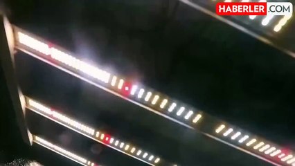 Ali Yerlikaya duyurdu: 6 suç örgütüne yapılan operasyonlarda 29 kişi tutuklandı