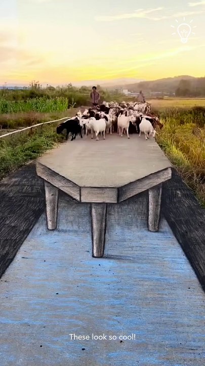#The Best Creative Amazing 3D on Road Observe the reactions of People Vehicle or Animals crossing