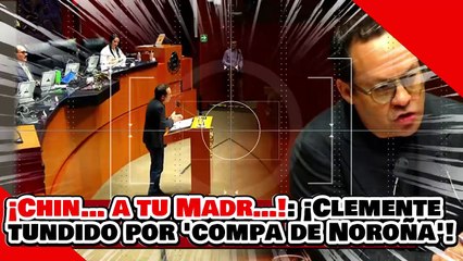 ¡Chin… a tu Madr…!: ¡Clemente gato de ’Pe-dante’ Delgado es masacrado por Alex ‘compa de Noroña’!