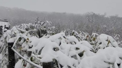 덕유산 정상에도 많은 첫눈..."30㎝가량 쌓여" / YTN