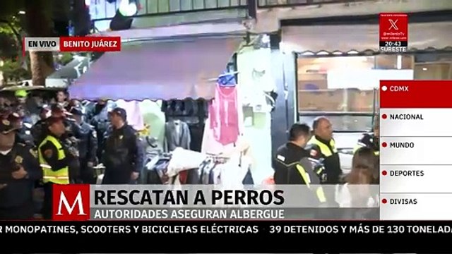 Rescatan animales maltratados durante operativo en un albergue de la colonia Narvarte, CdMx
