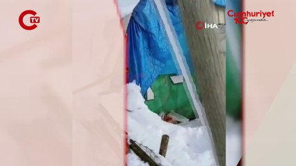 Erzincan'da acı olay... Hayvanların kaldığı 'çadır' çöktü 55 koyun öldü